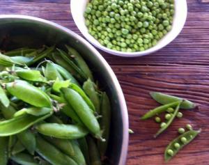 עוף עם ארטישוק, אפונת גינה ושום ירוק