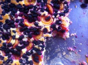 עוגת משמשים ותותי עץ