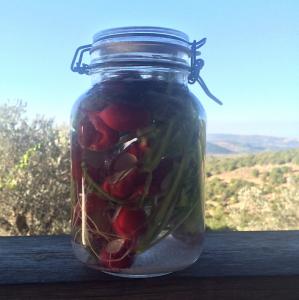 צנוניות כבושות בסגנון רומני